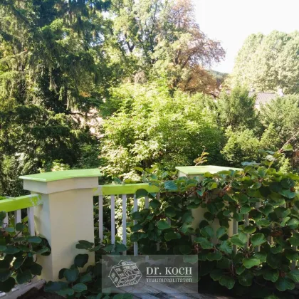 Charmante Familienresidenz beim Pötzleinsdorfer Schloßpark! - Bild 3