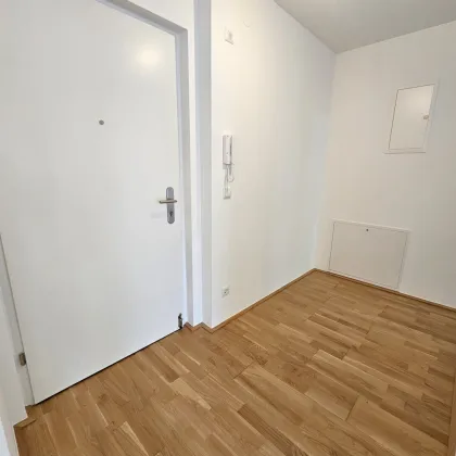 Moderne, bezugsfertige Eigentumswohnung mit Schlossparkblick - Kottingbrunn - Bild 3
