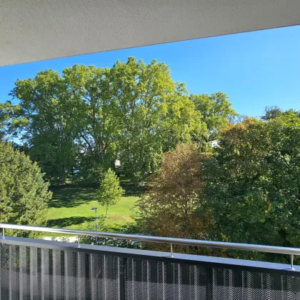 Moderne, bezugsfertige Eigentumswohnung mit Schlossparkblick - Kottingbrunn - Bild 2