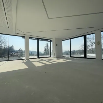 NEUBAU: Eindrucksvolle Architektenvilla mit einzigartiger Aussicht! - Bild 3