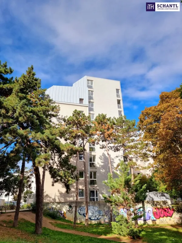 Mieteinnahmen auf Autopilot - ein Paket mit eingebauter Rendite! Ca. 4,2% Rendite + 3 attraktive Neubauwohnungen + Kein Kopfzerbrechen + Perfekte Infrastruktur und Anbindung! - Bild 1