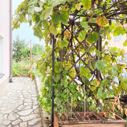 Charmantes Einfamilienhaus mit Ausbaupotenzial und großzügiger Terrasse - Bild 2