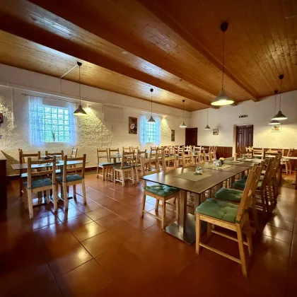 Vielseitige Liegenschaft mit Gastrobetrieb, Wohnung & großem Bauland - Bild 3