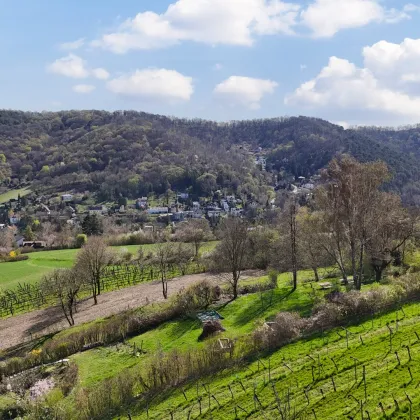 Fantastischer Fernblick in ruhiger Wohngegend – ideal für Ihr Eigenheim! - Bild 3