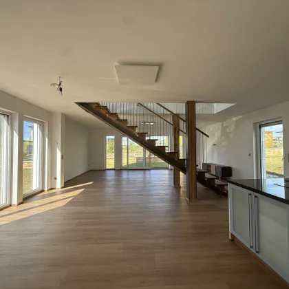 Außergewöhnliches Designhaus in Vitis - Bild 2