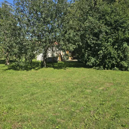 Attraktives Baugrundstück für Ihr Eigenheim oder als Geldparkplatz ! - Bild 3