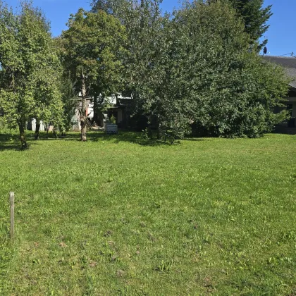 Attraktives Baugrundstück für Ihr Eigenheim oder als Geldparkplatz ! - Bild 2