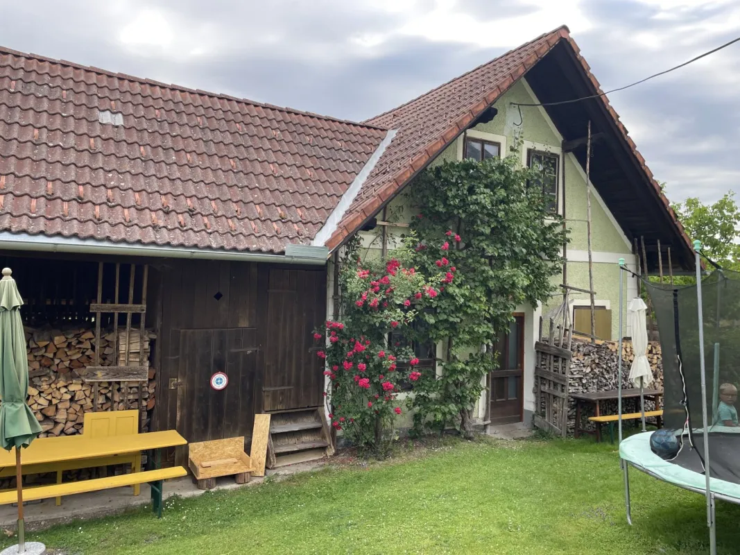 Bauernhof mit 2 Wohnhäusern und Wirtschaftsgebäuden - Bild 1
