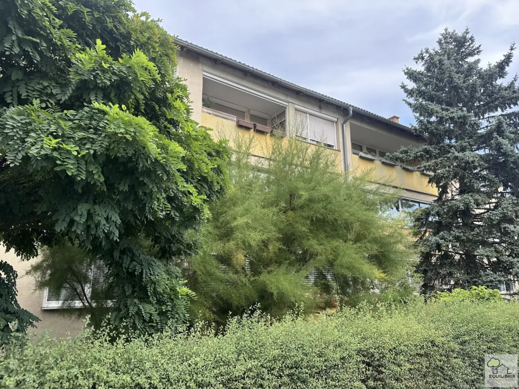 Renovierungsbedürftige 3-Zi-Wohnung Obere Stadt inkl. Stellplatz - Bild 1