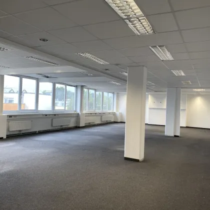 HELLE BÜROFLÄCHEN - NÄHE ALPENSTRASSE - Bild 2