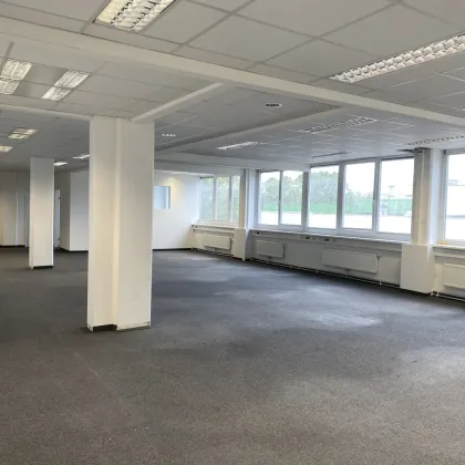 HELLE BÜROFLÄCHEN - NÄHE ALPENSTRASSE - Bild 3