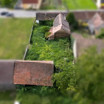 Neuer Preis!! Grundstück mit Abrisshaus! Ortsrand! - Bild 3