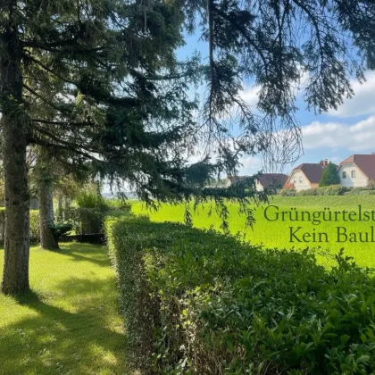 7 Zimmer Haus in Gainfarn - innen mit Renovierungsbedarf - Bild 2