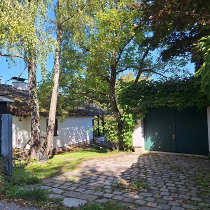 Idyllisches Einfamilienhaus mit großem Garten und einzigartigem Panorama - Bild 3