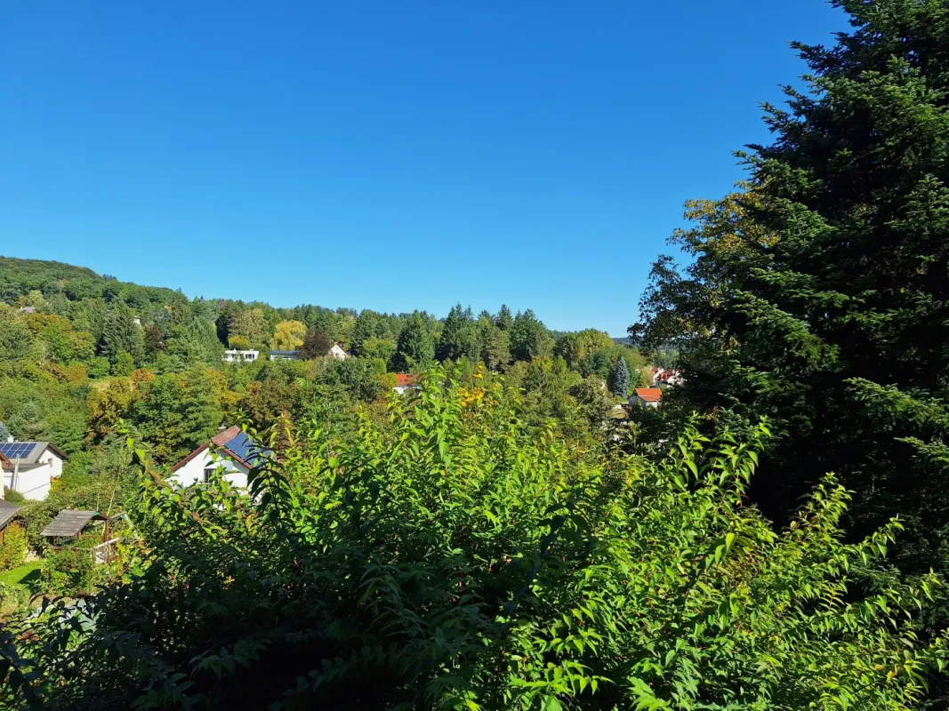 Idyllisches Einfamilienhaus mit großem Garten und einzigartigem Panorama - Bild 1