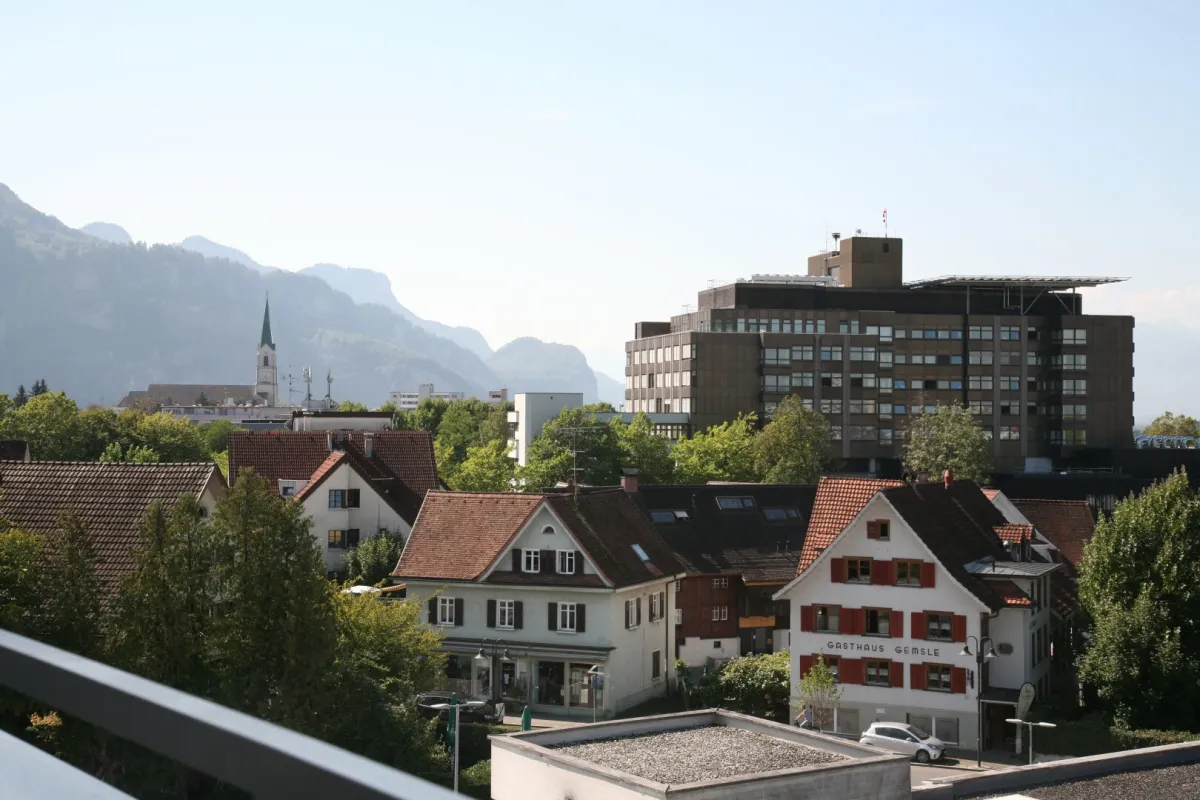 Charmantes 1-Zimmer-Appartement mit Westbalkon in Dornbirn - Bild 1