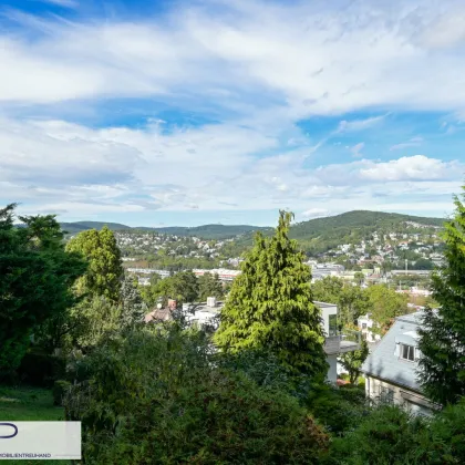 Villa mit herrlichem Ausblick über das Wiental und die Stadt - Bild 2