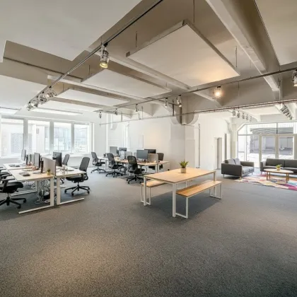 Loft mit hochwertiger Ausstattung in der einzigartigen Brotfabrik Wien! - Bild 3