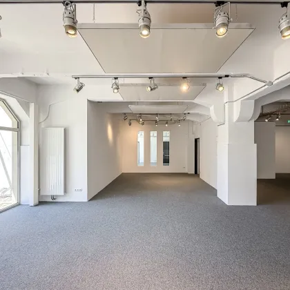 Loft mit hochwertiger Ausstattung in der einzigartigen Brotfabrik Wien! - Bild 2