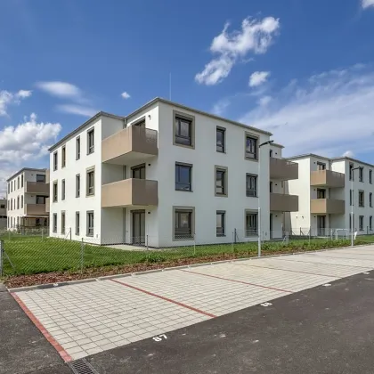 Wohnen in Großstelzendorf - Bild 3