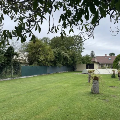 EINFAMILIENHAUS MIT GROSSEM GARTEN, GARAGE UND POOL - Bild 3