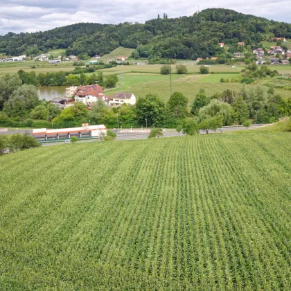 Großzügiges Baugrundstück Nähe Stadtzentrum Feldbach – Grundstücksteilung möglich - Bild 3