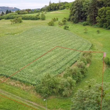 Großzügiges Baugrundstück Nähe Stadtzentrum Feldbach – Grundstücksteilung möglich - Bild 2