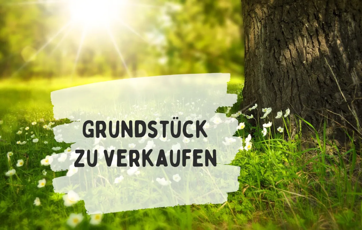 Großzügiges Baugrundstück Nähe Stadtzentrum Feldbach – Grundstücksteilung möglich - Bild 1