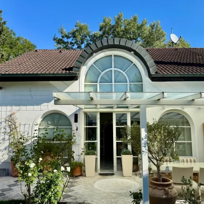 Haus am Neudörfler See – Wohnen, wo andere Urlaub machen - Bild 2