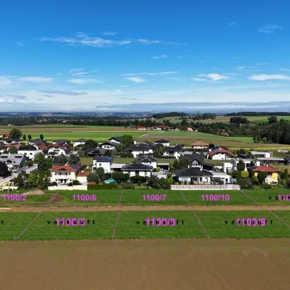 Ebenes Baugrundstück im Grünen | Steinerkirchen Frohnhofen | GST-Nr. 1100/2 - Bild 2