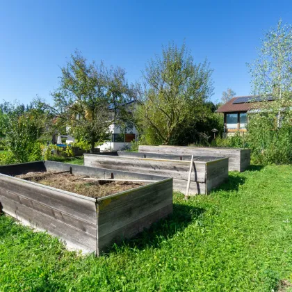 Sonnig wohnen, naturverbunden leben: Traumgarten, Schwimmteich, PV-Anlage - Bild 3