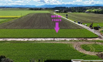 Ebene Bauparzelle mit Bergblick | Steinerkirchen Frohnhofen | GST-Nr. 1100/5