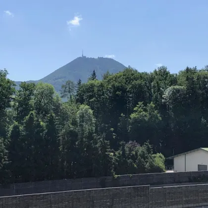 Baubewilligtes BVH am Stadtrand von Salzburg tws. Festungsblick: 10 Wohnungen mit Wintergärten und Tiefgarage - Bild 2