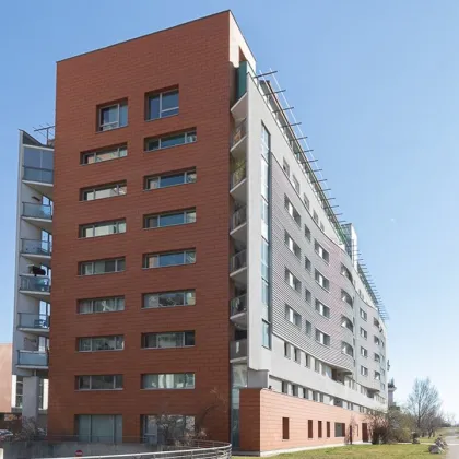 Schönes Geschäftslokal oder Büro in der Wienerberg City - Bild 3