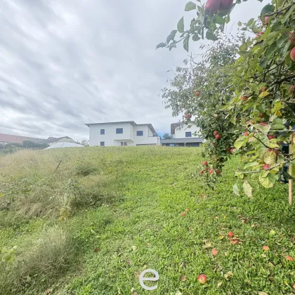 Attraktives Baugrundstück in Wolfsbach – 932m² für individuelle Träume - Bild 3