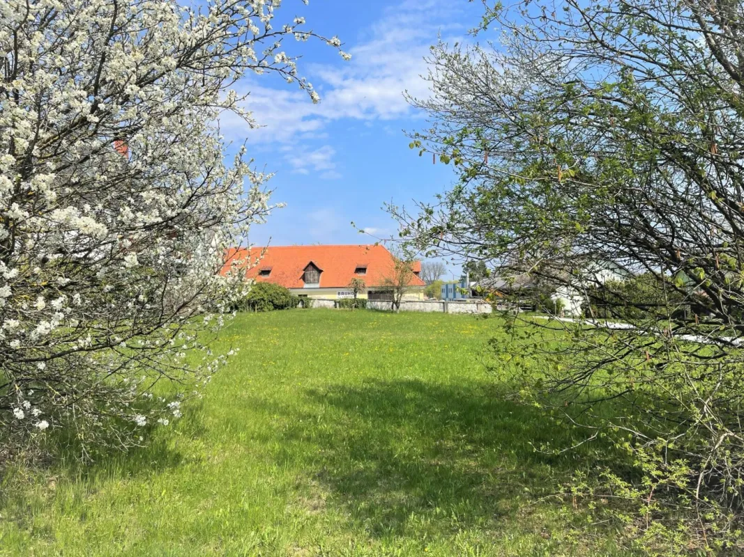 WALLFAHRTSORT MARIA LANKOWITZ - SONNIGER BAURECHTSGRUND - Bild 1
