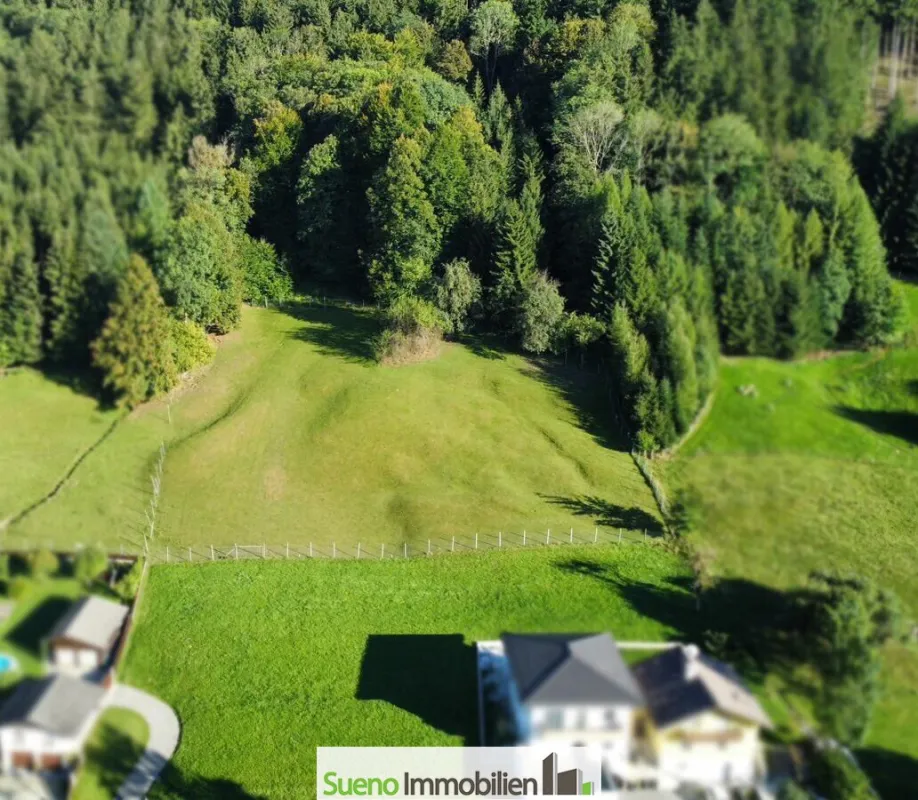 Wald. Wiese. Zukunft. – Ein Grundstück für große Pläne! - Bild 1