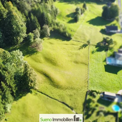 Wald. Wiese. Zukunft. – Ein Grundstück für große Pläne! - Bild 3