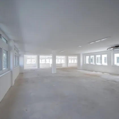 Erstbezug: Moderne Bürofläche in Hietzinger Bestlage - Bild 3