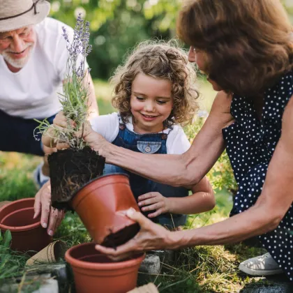Kleingarten zur Pacht. - Neue Gartenanlage in Planung: Jetzt vormerken lassen! - Bild 3