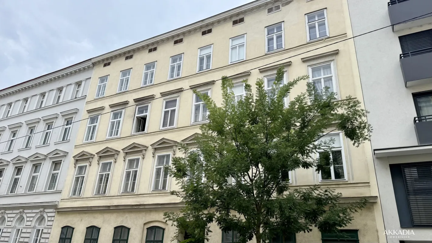 Große Souterrainfläche I Nähe Haus des Meeres I Lager I Atelier - Bild 1