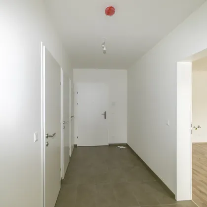 ERSTBEZUG: Erdgeschoßwohnung mit großzügigem Garten - Bild 3