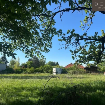 Baugrundstück in idyllisch ruhiger Lage bei Sieghartskirchen – nahe Wien - Bild 2