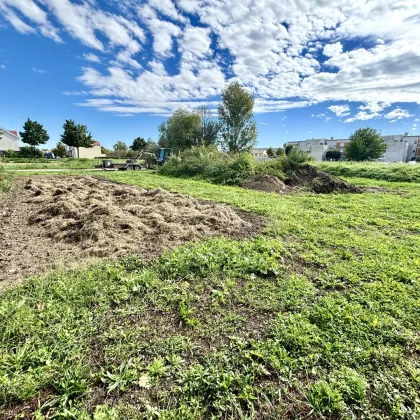 Baugrundstück in zentraler Ruhelage – Neusiedl am See - Bild 3