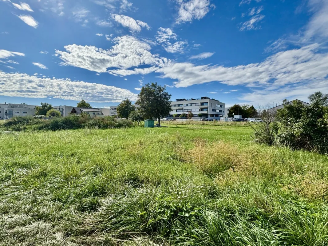 Baugrundstück in zentraler Ruhelage – Neusiedl am See - Bild 1