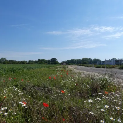 ECKGRUNDSTÜCK INMITTEN SCHÖNER NATUR NÄHE WIEN BRATISLAVA - Bild 3