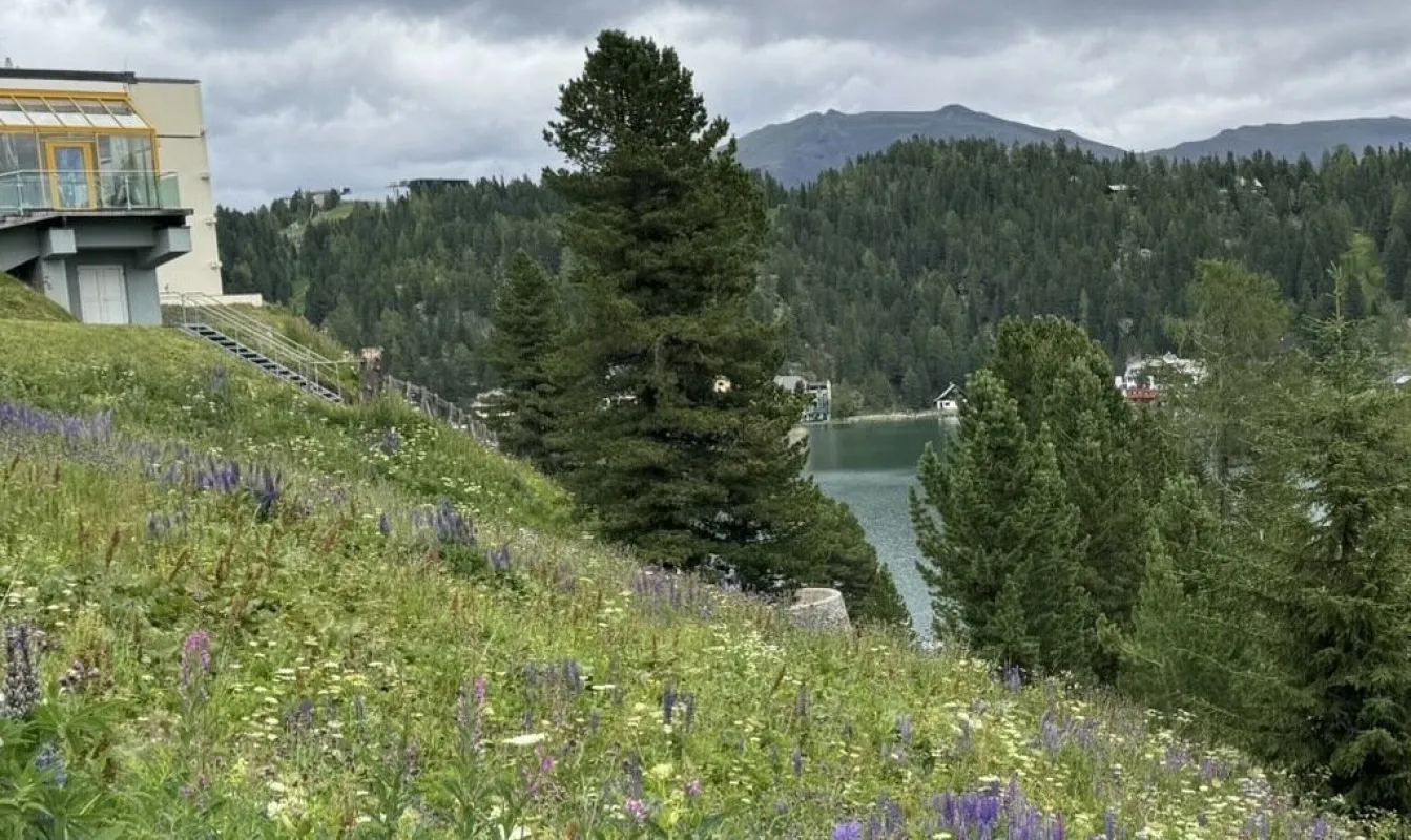 Turracher Höhe - Ein Grundstück mit Seltenheitswert – ideal für eine hochwertige touristische Entwicklung. Baugrundstück für eine kleine Apartmentanlage - DIREKT bei der Piste und der Talstation "Panoramabahn" - Bild 1