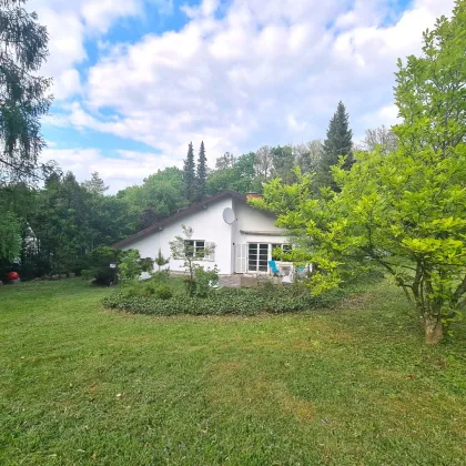 Charmantes Einfamilienhaus! - Bild 3