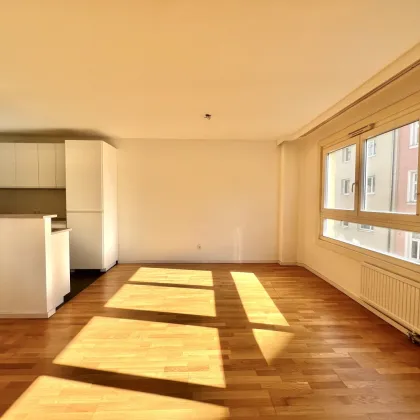 360° TOUR // NEUBAUWOHNUNG MIT GEMEINSCHAFTSTERRASSE - Bild 3