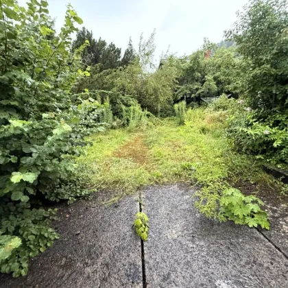 Wohnhaus in Zentrumnahe Lage Waidhofen/Ybbs - Bild 3